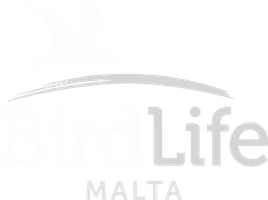 BirdLife Malta